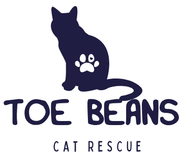 Toe Beans Cat Rescue